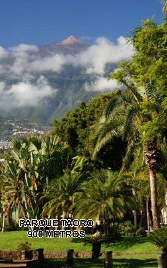 Toplage. Blick. Sauber. Guenstig. Pool. Gepflegt Puerto de la Cruz  Luaran gambar